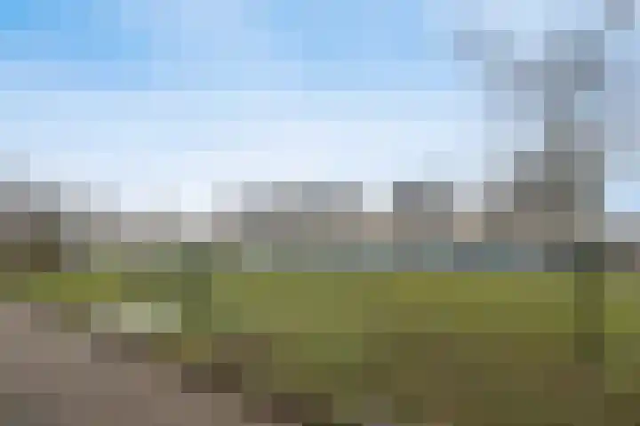 Vrijheidsakker 27 Etten-Leur thumbnail 29