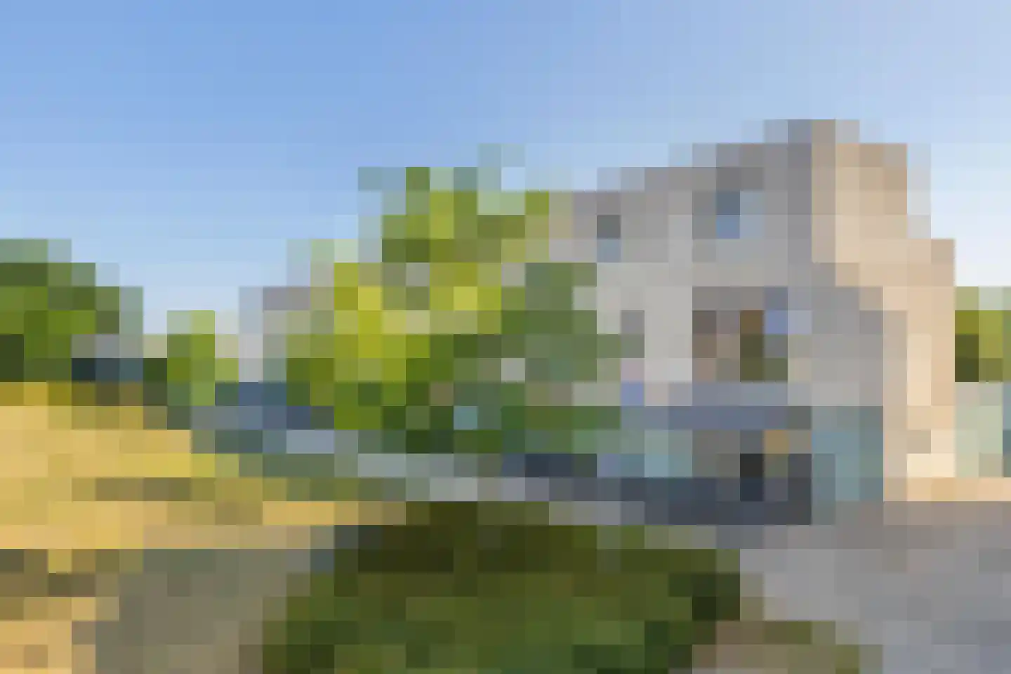 Vrijheidsakker 8 Etten-Leur thumbnail 11