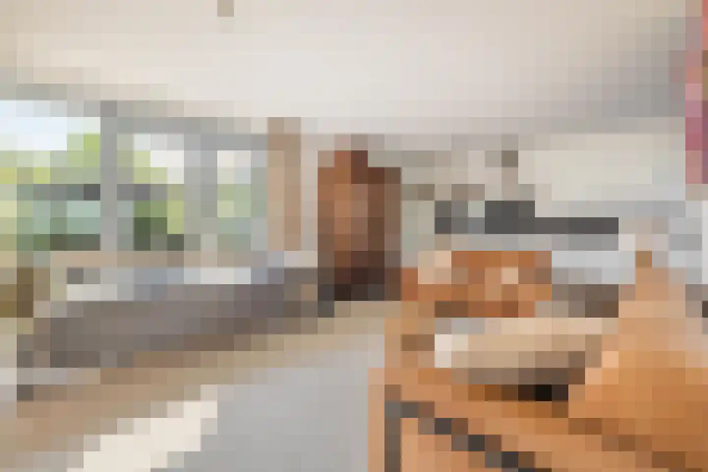 Vrijheidsakker 8 Etten-Leur thumbnail 21