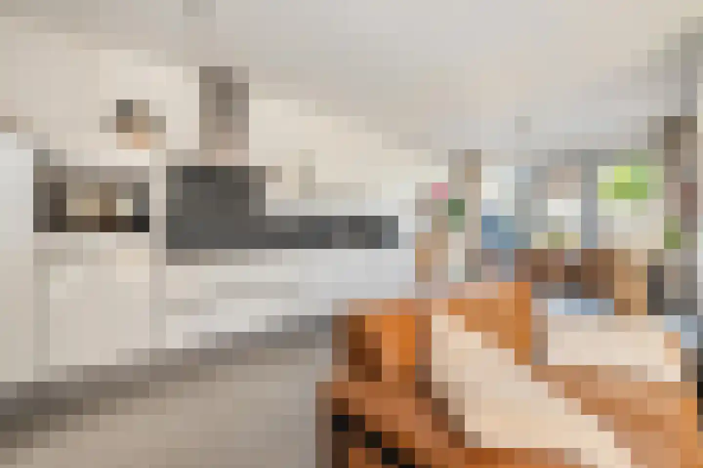 Vrijheidsakker 8 Etten-Leur thumbnail 27