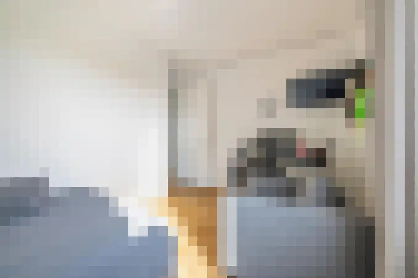 Vrijheidsakker 8 Etten-Leur thumbnail 43