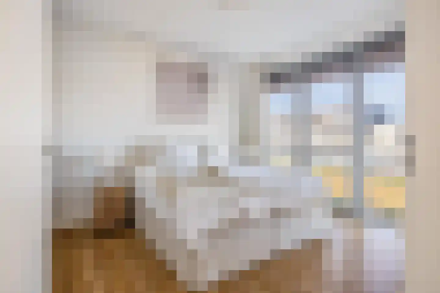 Vrijheidsakker 8 Etten-Leur thumbnail 5