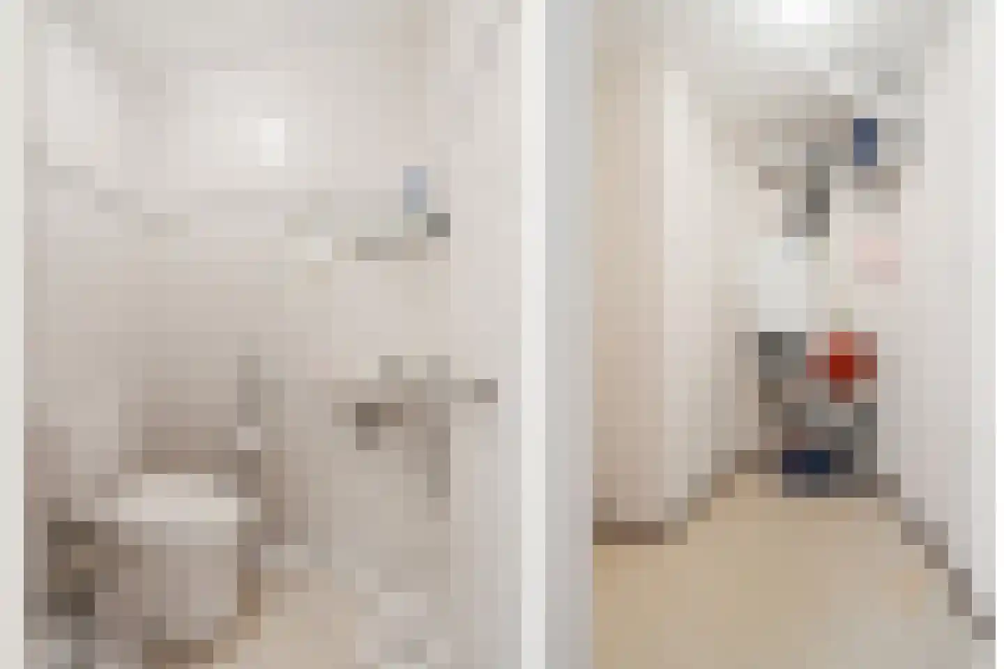 Vrijheidshof 9 Woerden thumbnail 12
