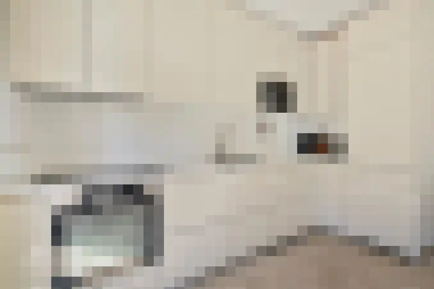 Vrijheidslaan 1 Gouda thumbnail 6