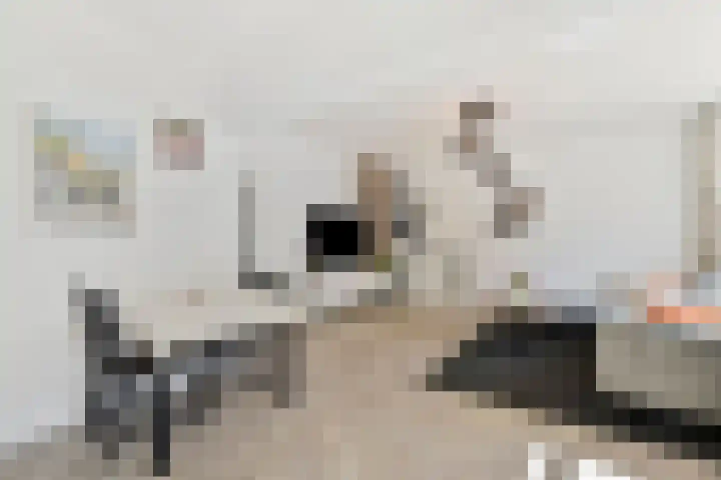 Vrijheidslaan 1 Gouda thumbnail 7
