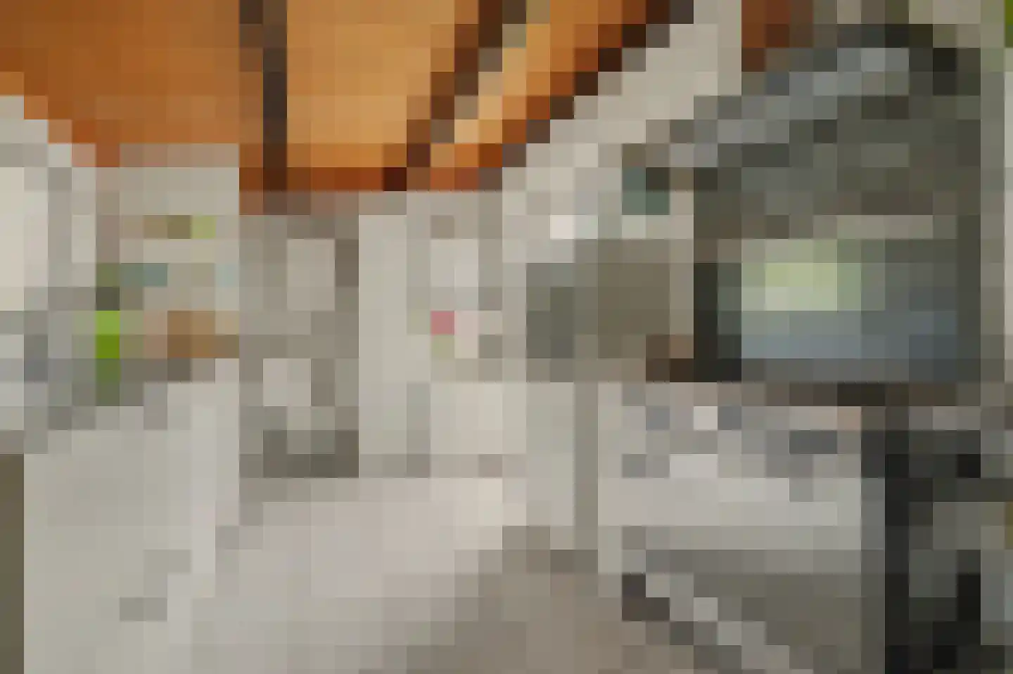 Vrijheidslaan 1 Kortgene thumbnail 14