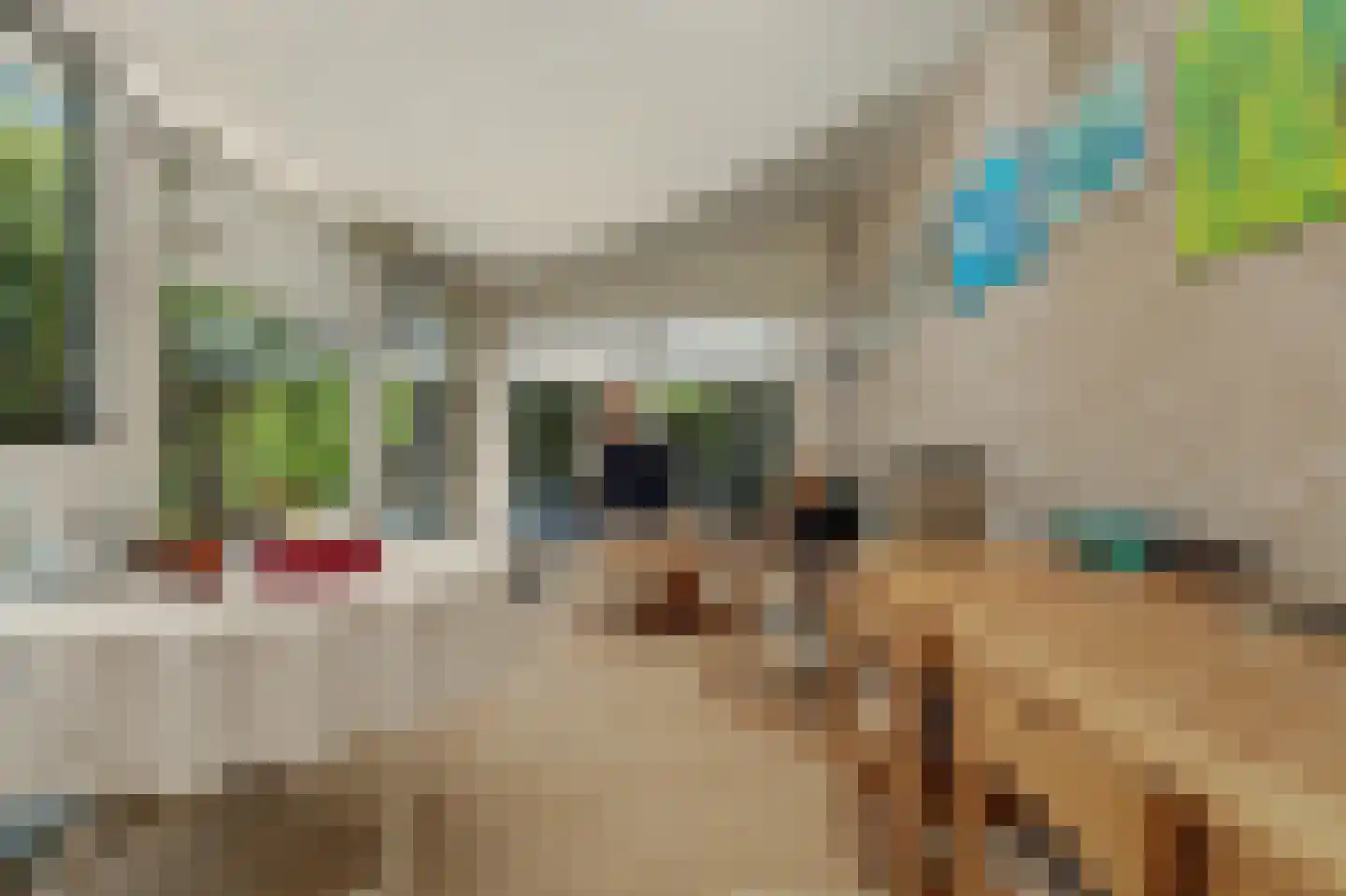 Vrijheidslaan 1 Kortgene thumbnail 17