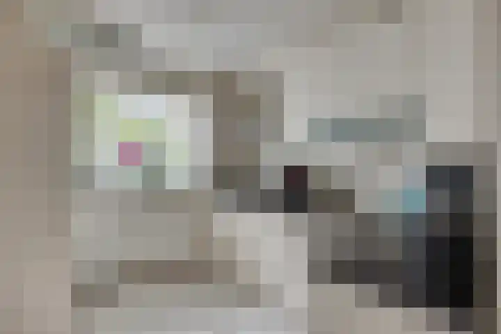 Vrijheidslaan 12 Leiden thumbnail 10