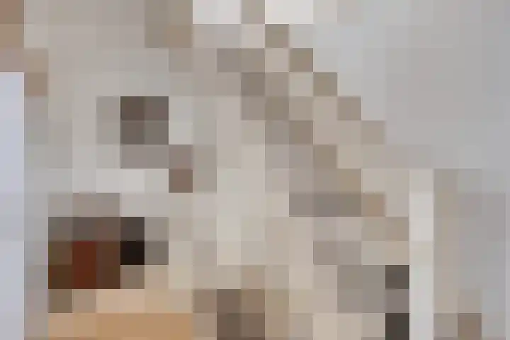 Vrijheidslaan 12 Leiden thumbnail 13