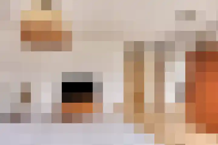 Vrijheidslaan 12 Leiden thumbnail 16