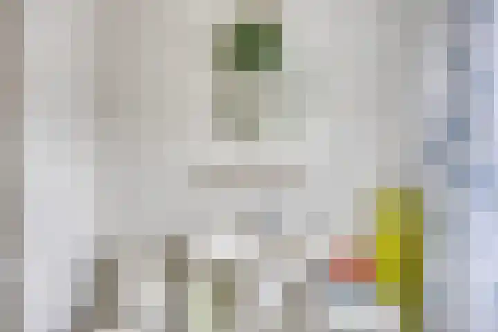Vrijheidslaan 12 Leiden thumbnail 18