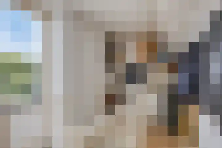 Vrijheidslaan 12 Leiden thumbnail 21