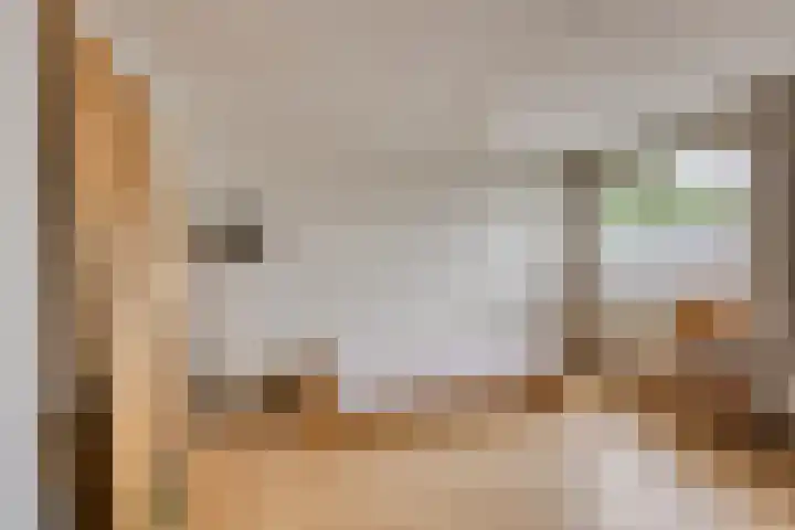 Vrijheidslaan 12 Leiden thumbnail 23