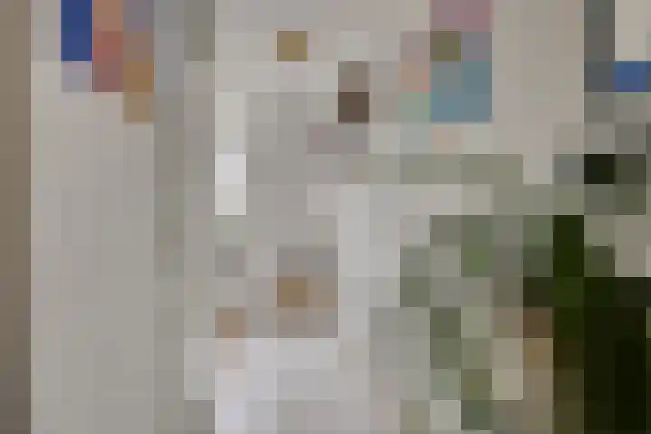Vrijheidslaan 12 Leiden thumbnail 5
