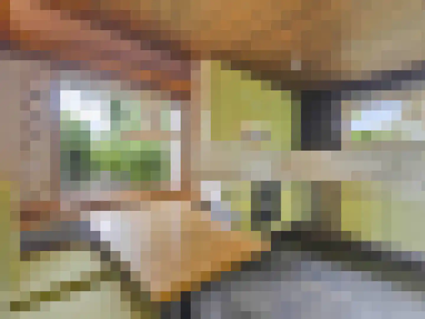 Vrijheidslaan 124 Breukelen thumbnail 16