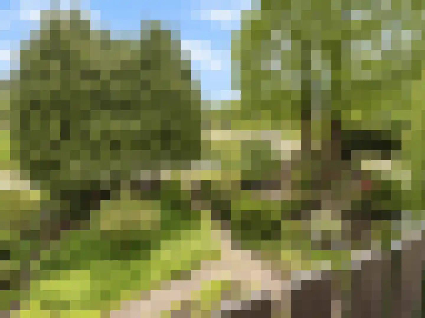 Vrijheidslaan 124 Breukelen thumbnail 47