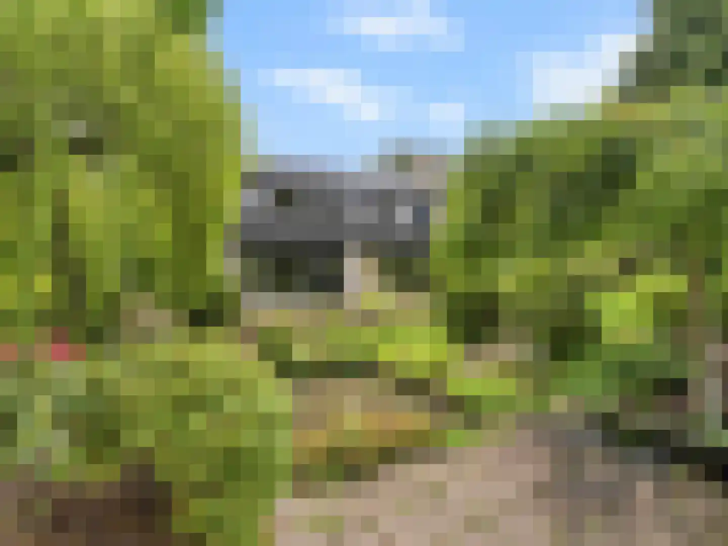 Vrijheidslaan 124 Breukelen thumbnail 52