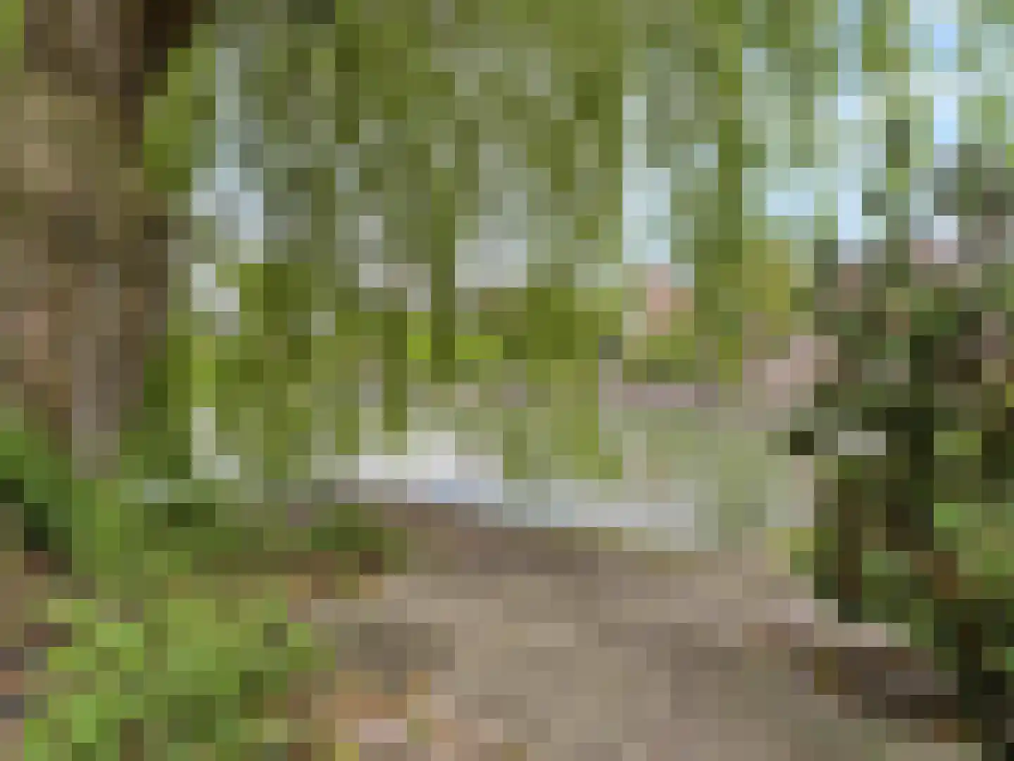 Vrijheidslaan 124 Breukelen thumbnail 53