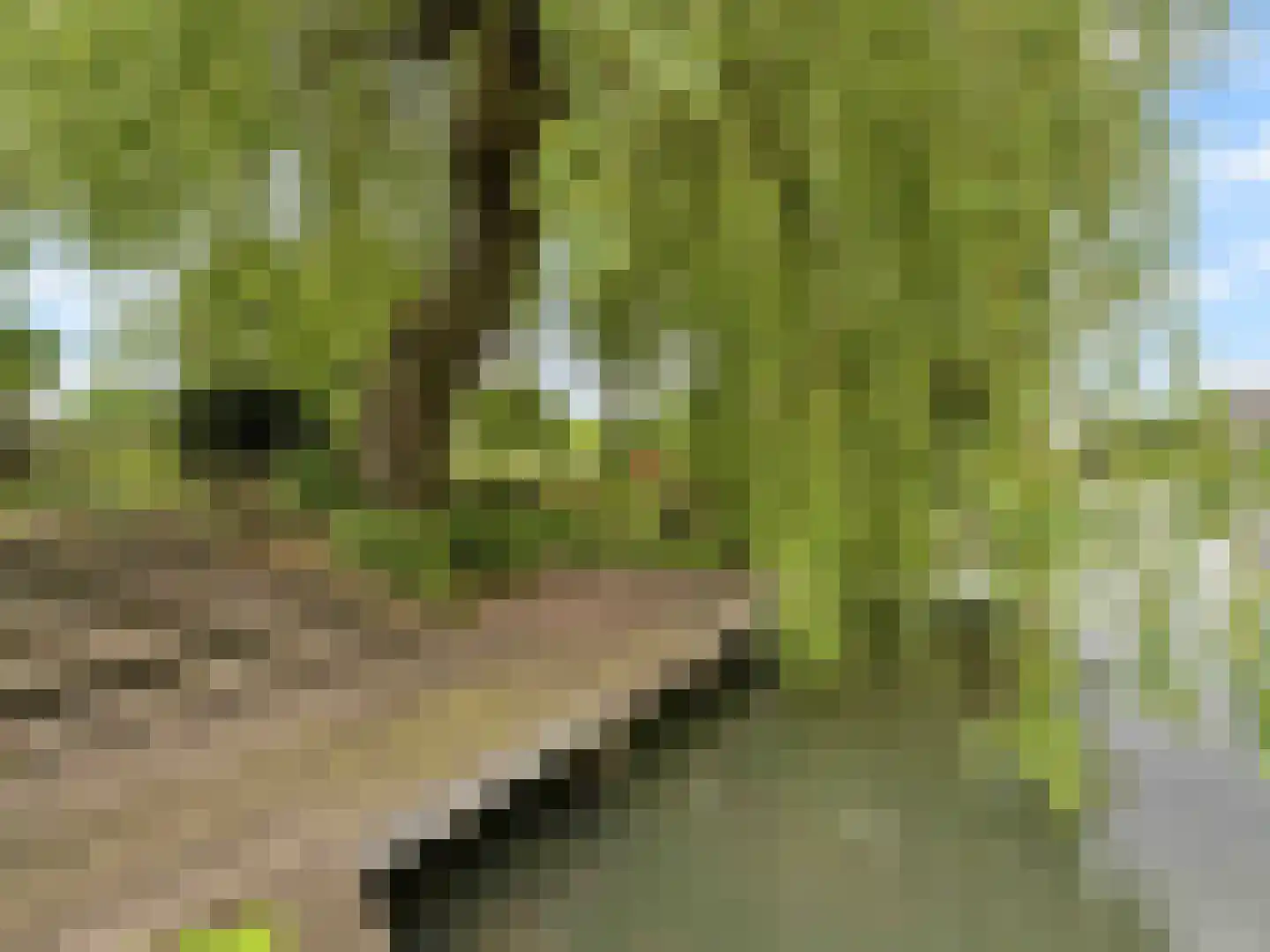 Vrijheidslaan 124 Breukelen thumbnail 54