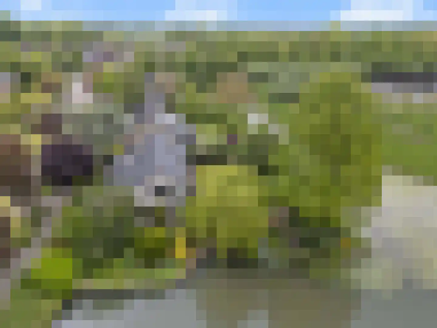 Vrijheidslaan 124 Breukelen thumbnail 56