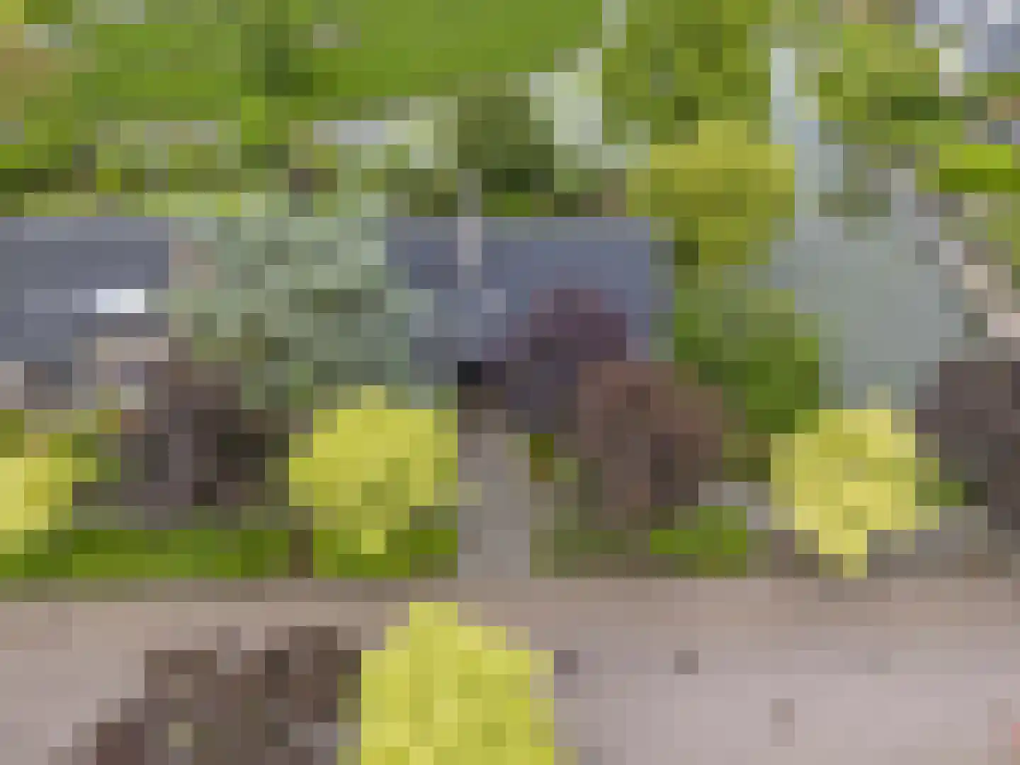 Vrijheidslaan 124 Breukelen thumbnail 61