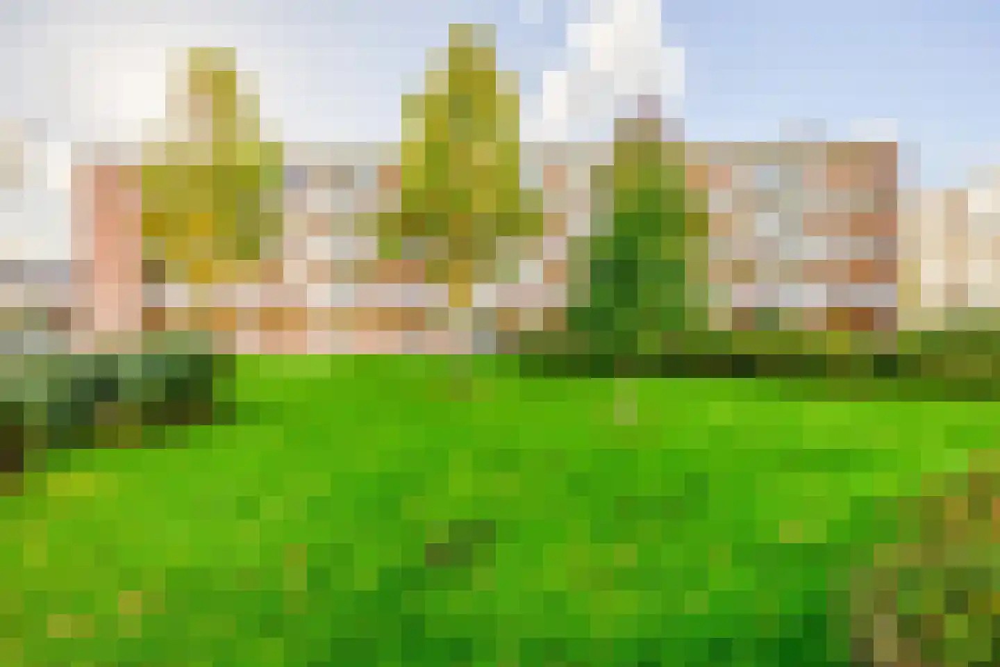 Vrijheidslaan 127 Gouda foto 2