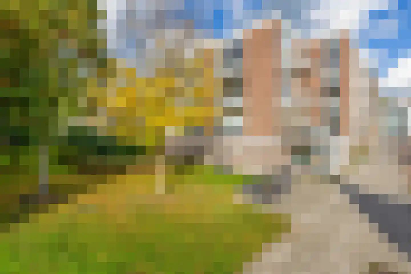 Vrijheidslaan 127 Gouda thumbnail 24