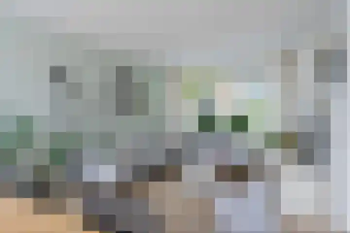 Vrijheidslaan 15 Benthuizen thumbnail 18