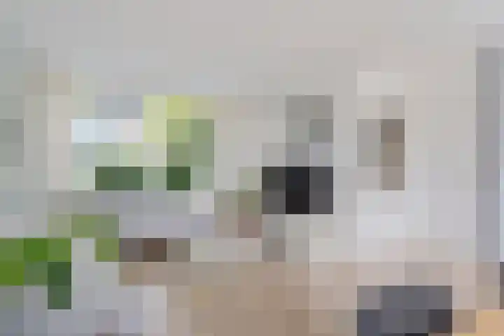 Vrijheidslaan 15 Benthuizen thumbnail 20