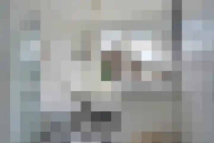 Vrijheidslaan 15 Benthuizen thumbnail 30