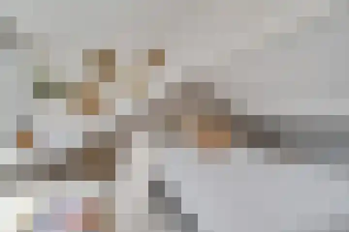 Vrijheidslaan 15 Benthuizen thumbnail 35