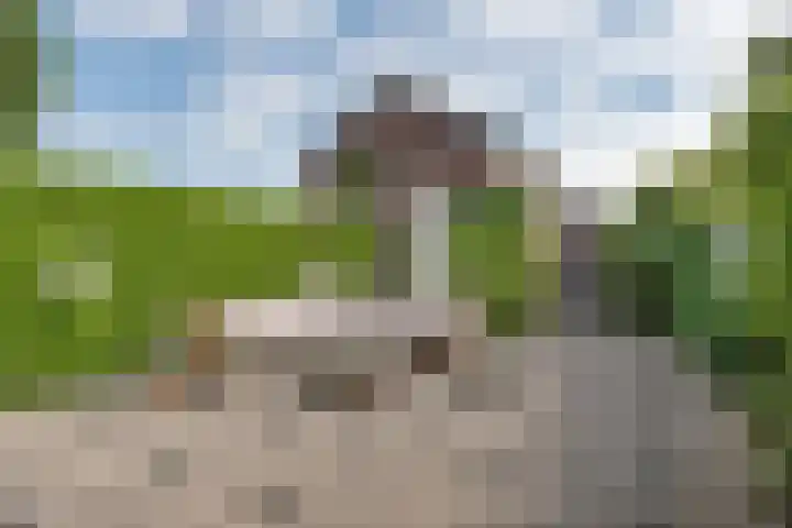 Vrijheidslaan 15 Benthuizen thumbnail 40