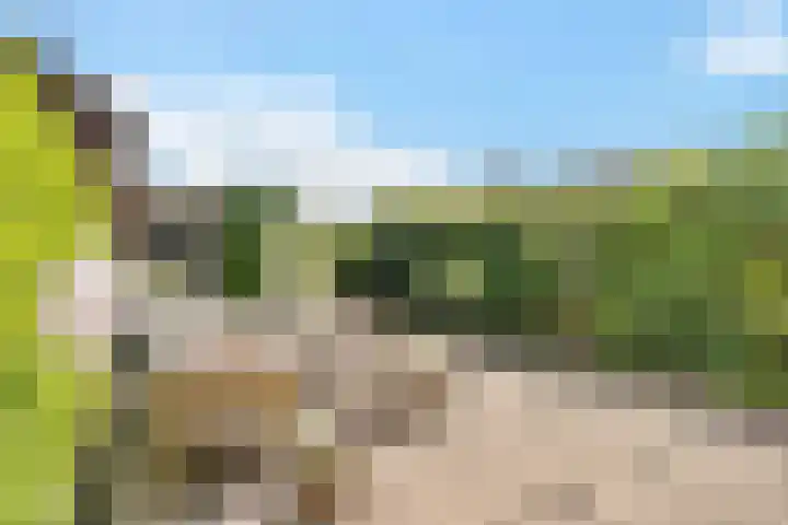 Vrijheidslaan 15 Benthuizen thumbnail 41