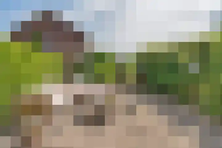 Vrijheidslaan 15 Benthuizen thumbnail 46
