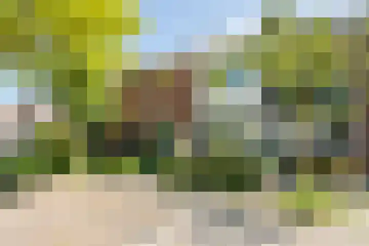 Vrijheidslaan 15 Benthuizen thumbnail 47
