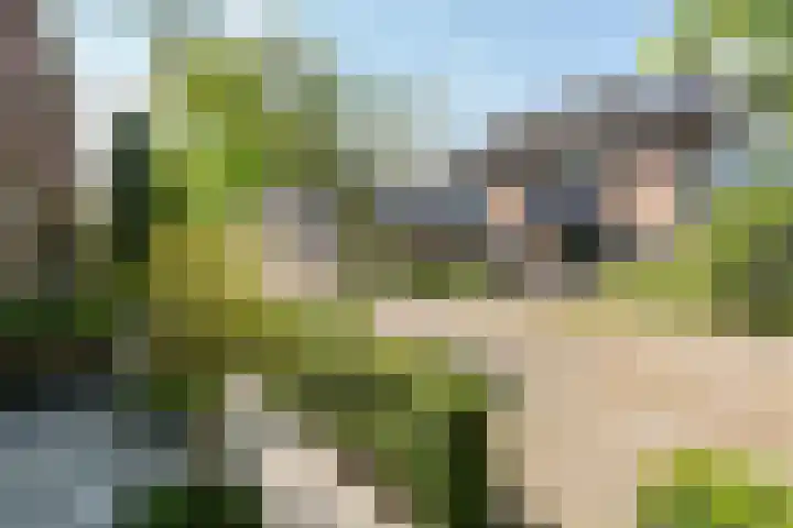 Vrijheidslaan 15 Benthuizen thumbnail 5
