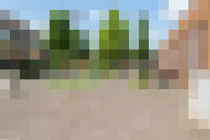 Vrijheidslaan 15 Benthuizen thumbnail 50