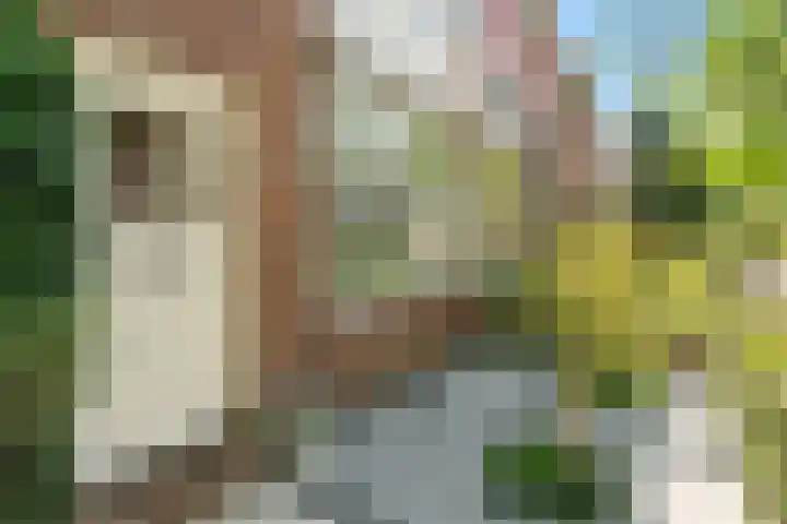 Vrijheidslaan 15 Benthuizen thumbnail 7