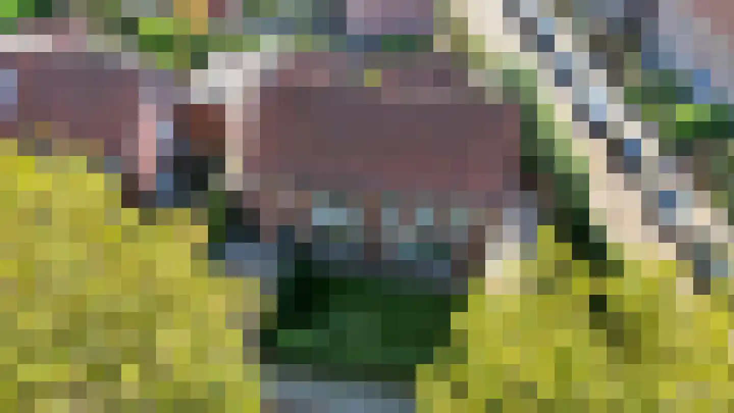 Vrijheidslaan 18 Nieuwerkerk aan den IJssel thumbnail 17
