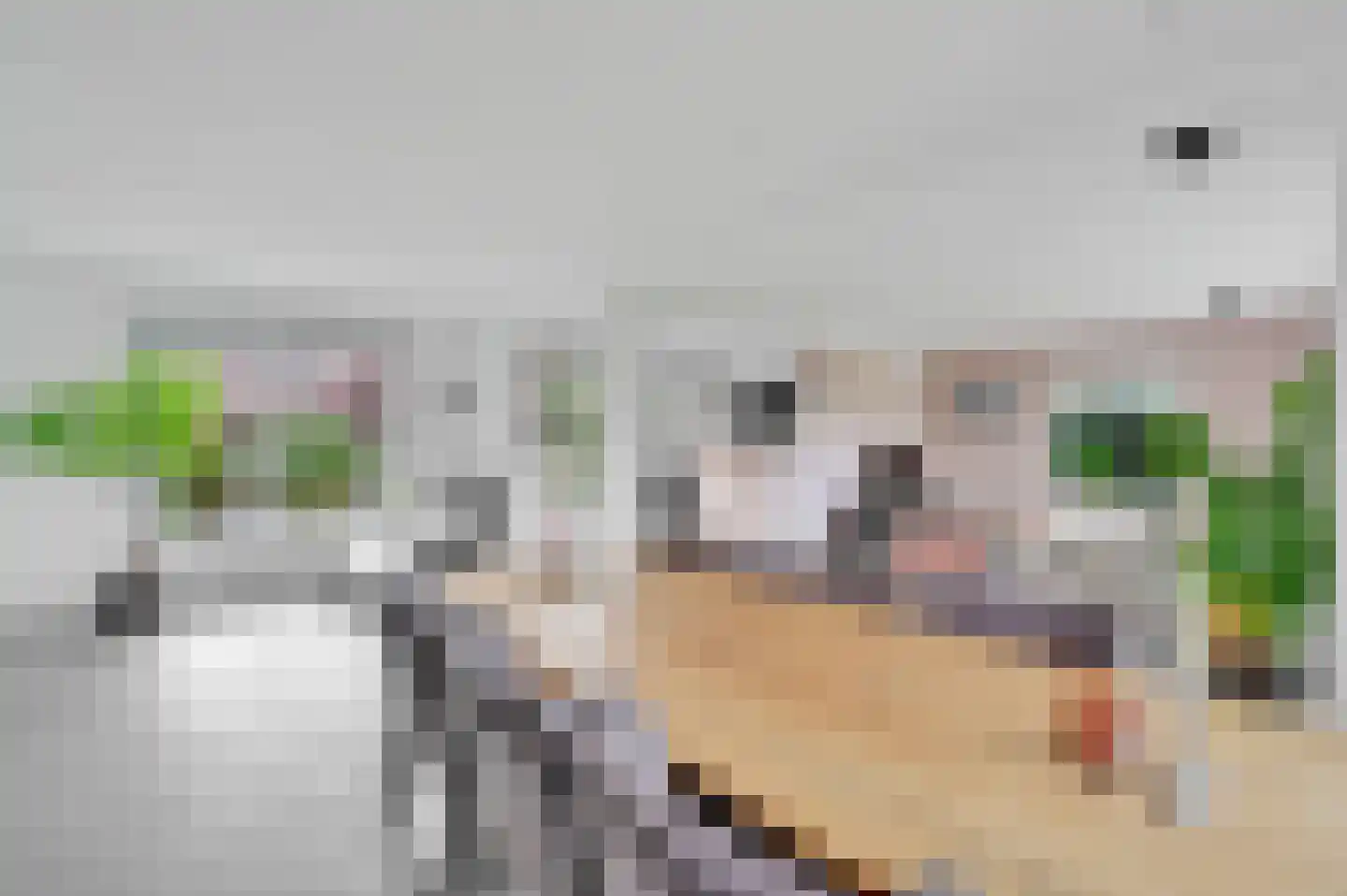 Vrijheidslaan 18 Nieuwerkerk aan den IJssel thumbnail 26