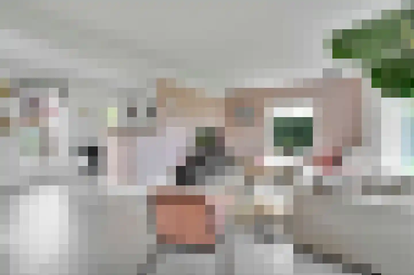 Vrijheidslaan 18 Nieuwerkerk aan den IJssel thumbnail 27