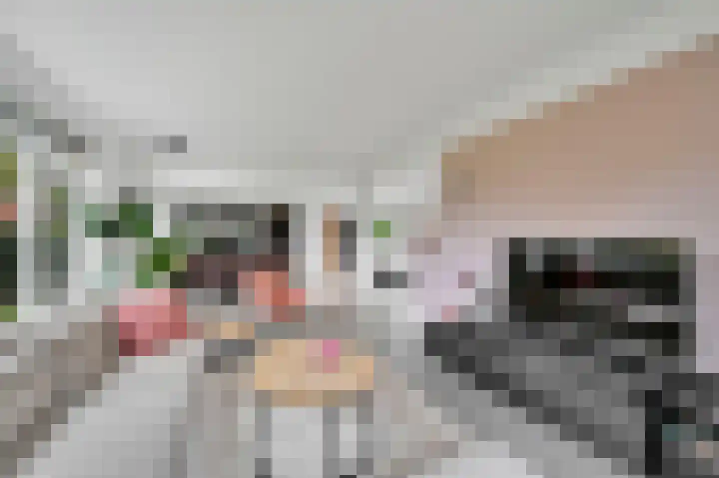 Vrijheidslaan 18 Nieuwerkerk aan den IJssel thumbnail 28