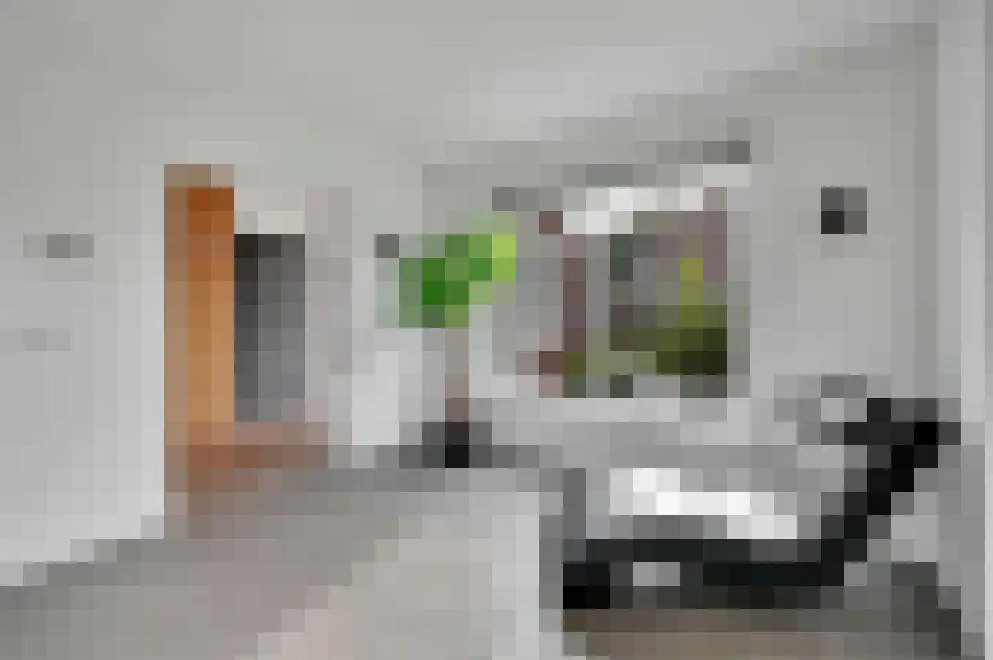 Vrijheidslaan 18 Nieuwerkerk aan den IJssel thumbnail 35