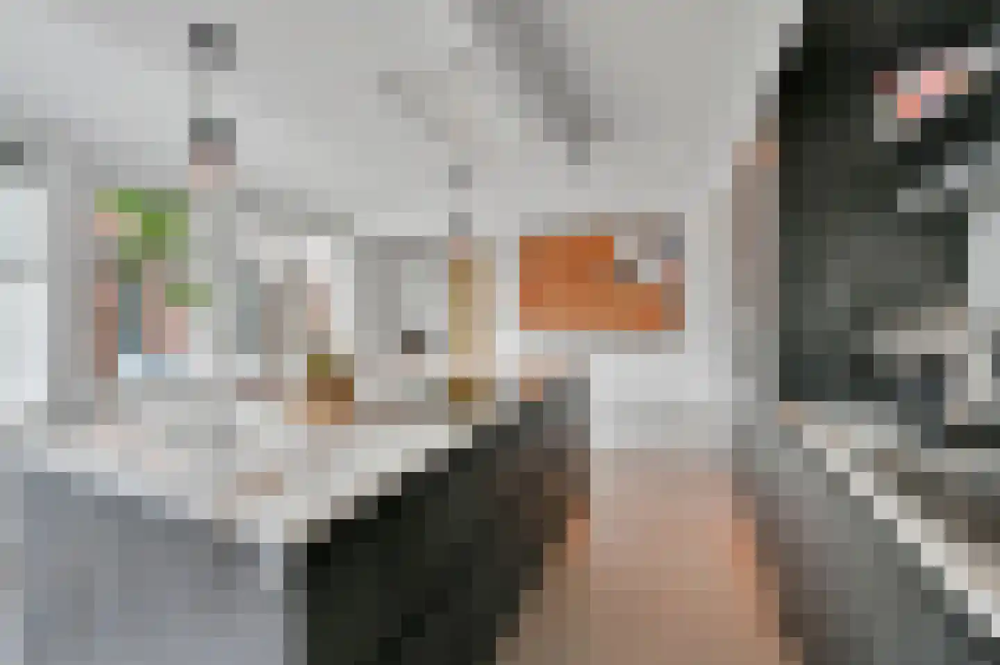 Vrijheidslaan 18 Nieuwerkerk aan den IJssel thumbnail 38