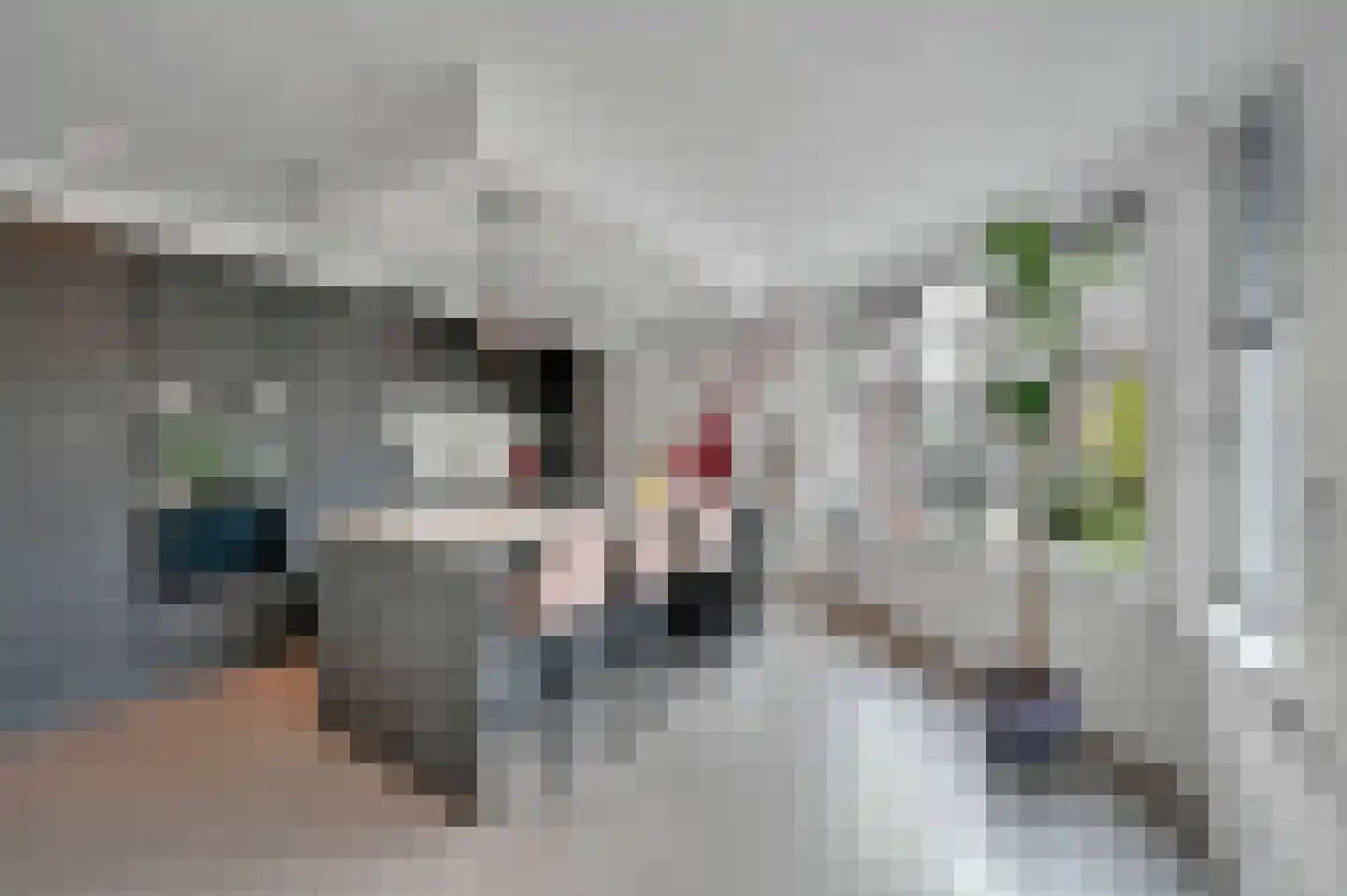 Vrijheidslaan 18 Nieuwerkerk aan den IJssel thumbnail 4