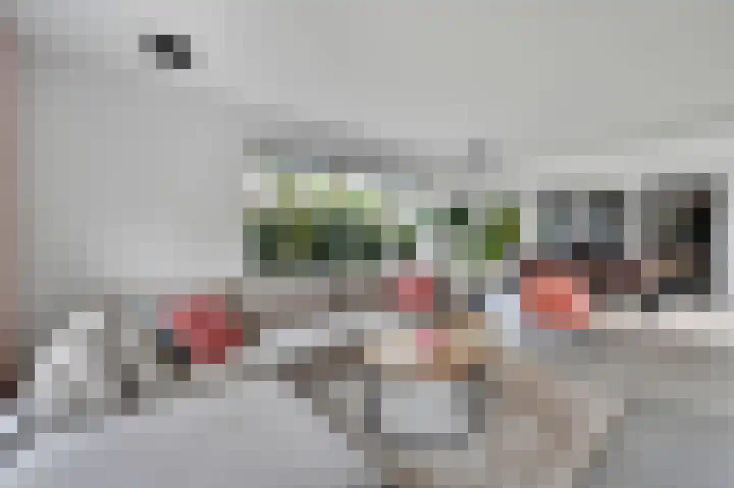 Vrijheidslaan 18 Nieuwerkerk aan den IJssel thumbnail 5