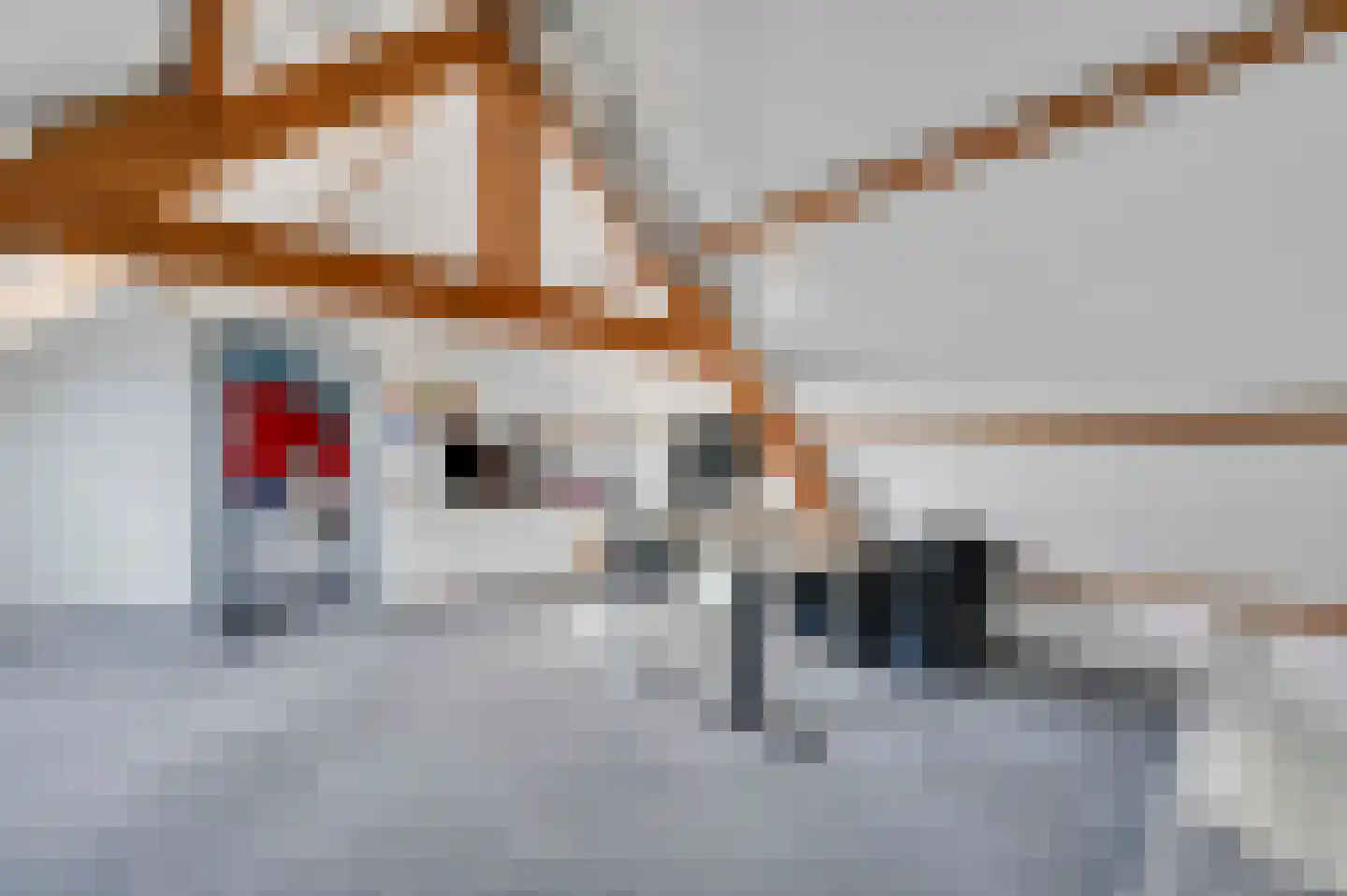 Vrijheidslaan 18 Nieuwerkerk aan den IJssel thumbnail 65