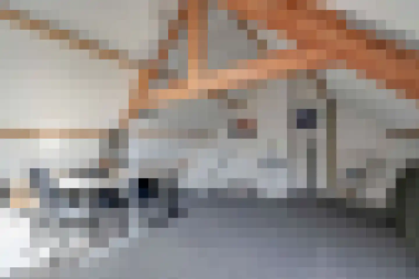 Vrijheidslaan 18 Nieuwerkerk aan den IJssel thumbnail 66