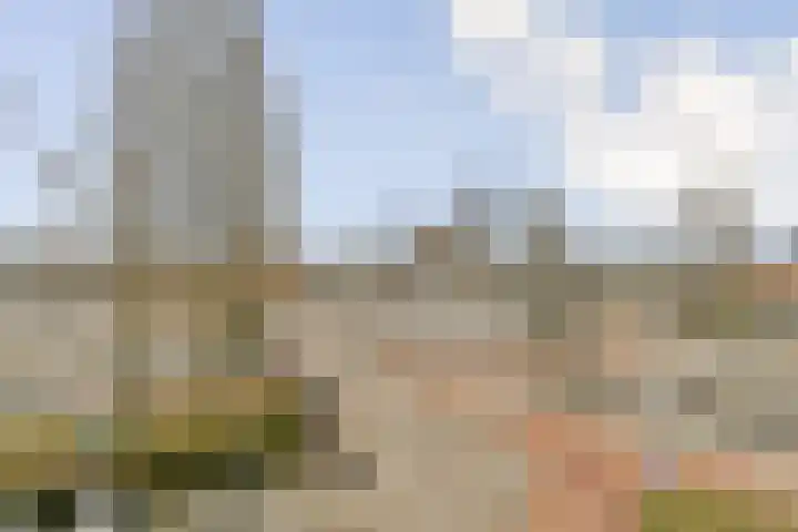 Vrijheidslaan 2 2 Amsterdam thumbnail 6