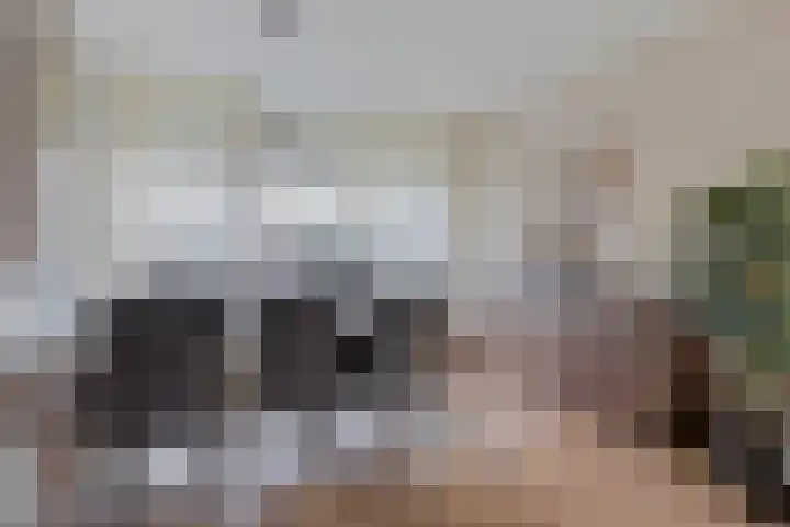 Vrijheidslaan 20 Brakel thumbnail 11